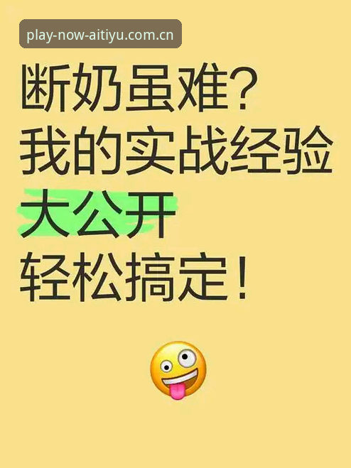 6个步骤，让你用此刻在场看数据教程少走弯路：从安装到实战的完整测评